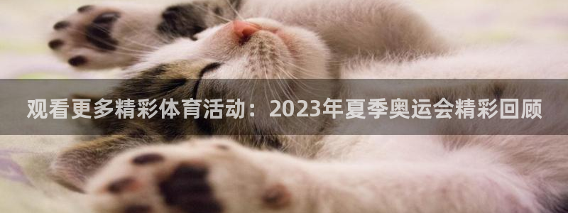 3377体育官网入口下载最新