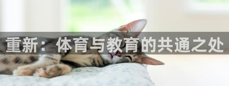 3377体育网页登录入口