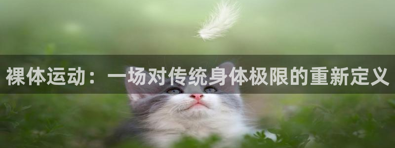 3377体育com
