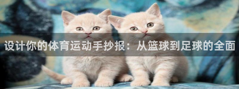 3377体育官网下载