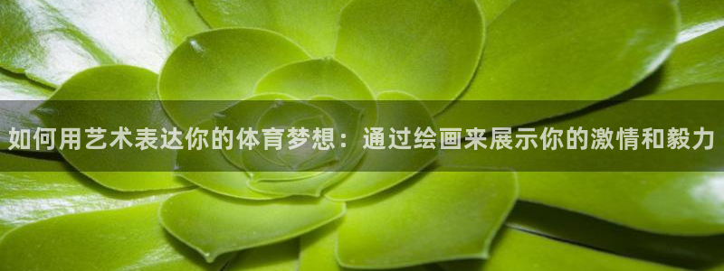 3377体育app登录入口