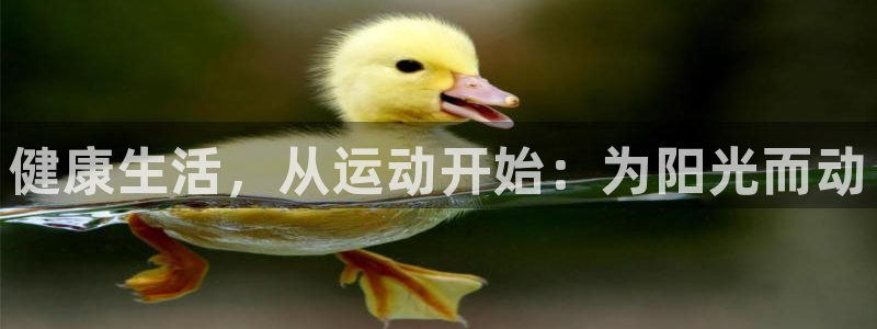 3377体育手机平台