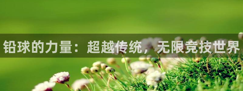 3377体育网页登录入口