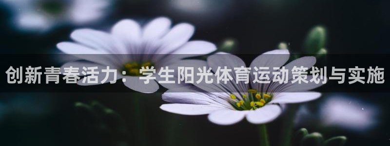 3377体育在线登录官网入口
