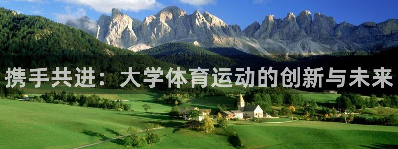 3377体育app登录入口