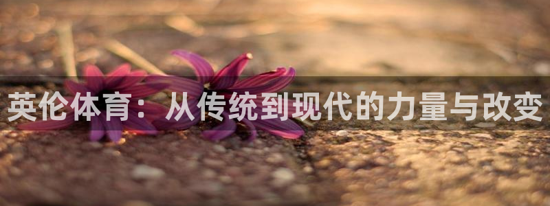 3377体育官网