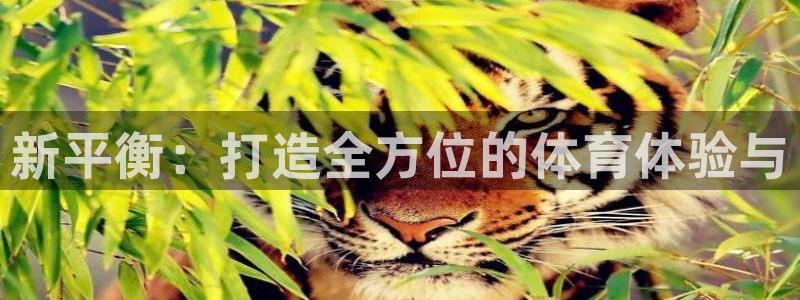3377体育是正规平台吗