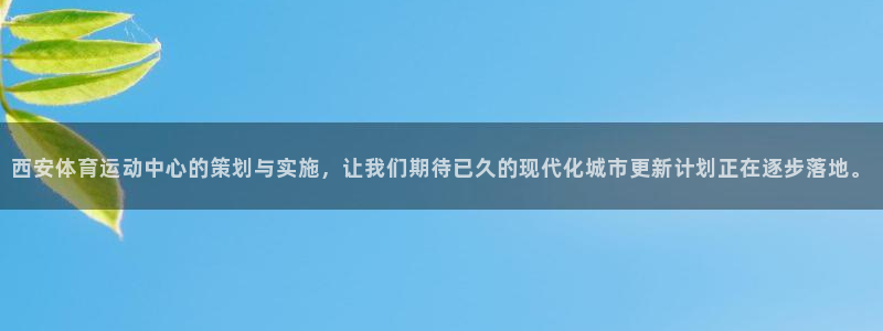 3377体育官网