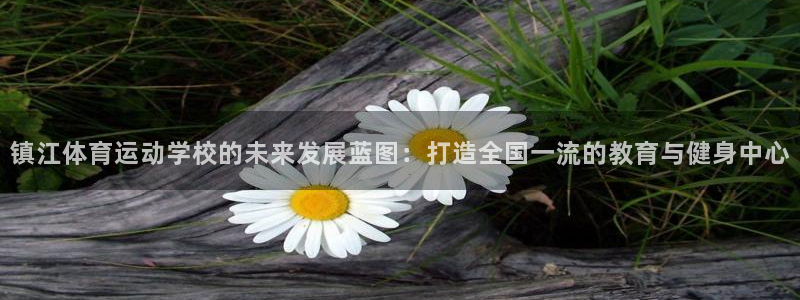 3377体育平台