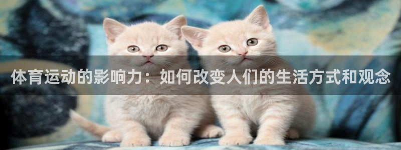 3377体育官方app下载