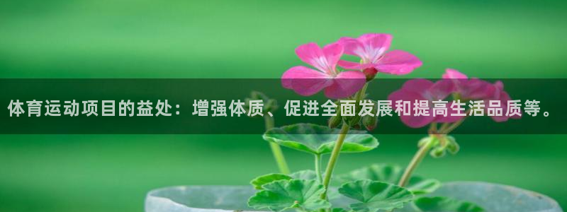 3377体育是正规平台吗