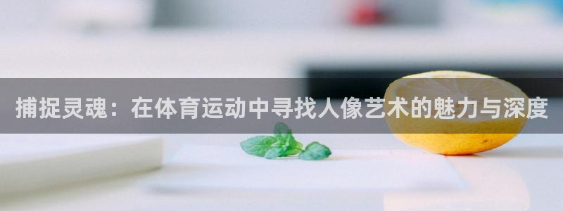 3377体育全网
